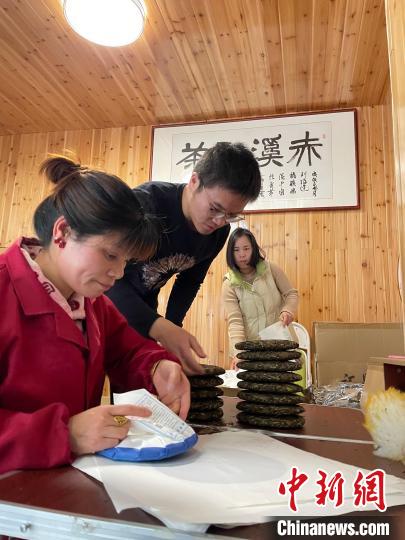 資料圖：杜贏(左二)在整理白茶餅?！×执阂?攝